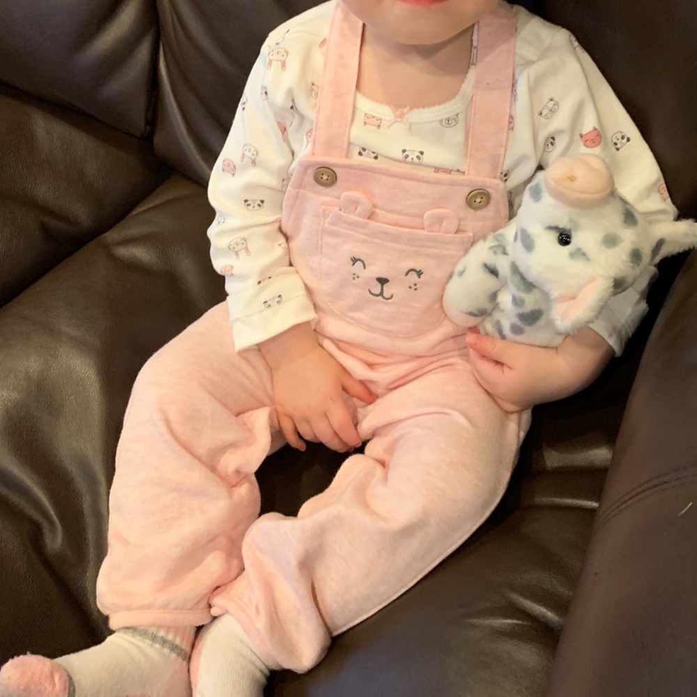 24m Carter’s Overall Set 🐰